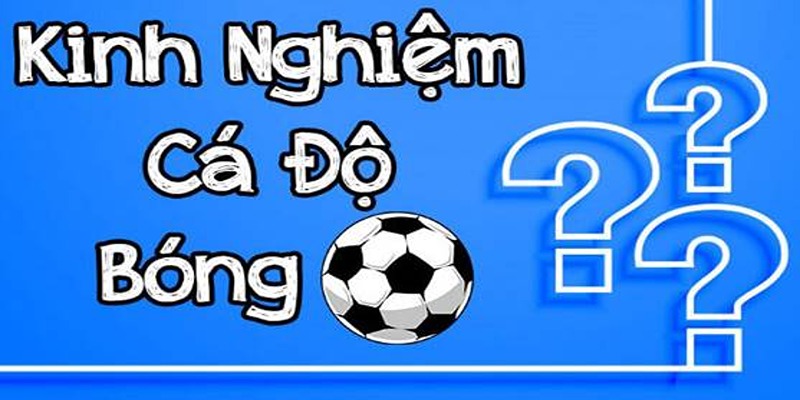 Khái niệm của kèo nhà cái bet69 là gì?