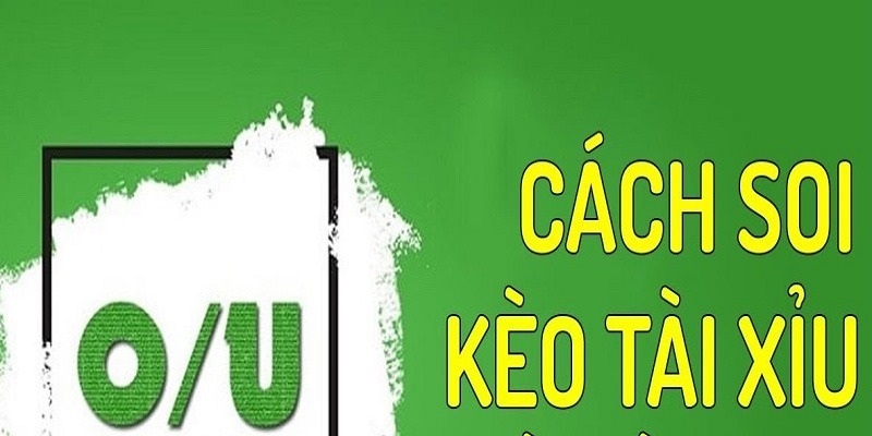 Cách xem kèo bóng đá tài xỉu tại kèo nhà cái 