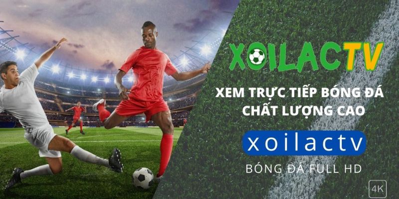 Bật mí 4 lý do nên xem xôi trực tiếp bóng đá 