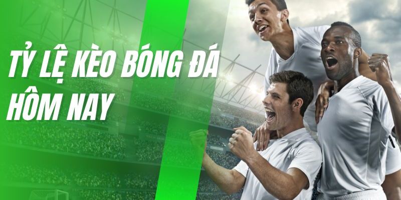 Hướng dẫn xem tỷ lệ kèo asian cup tại kèo nhà cái 